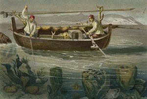 Pesca de esponjas en la costa dálmata de European School